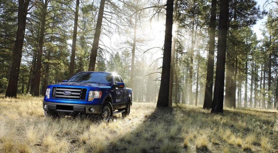  Ford F-150 FX4 2009 года  (фото 1 из 2)